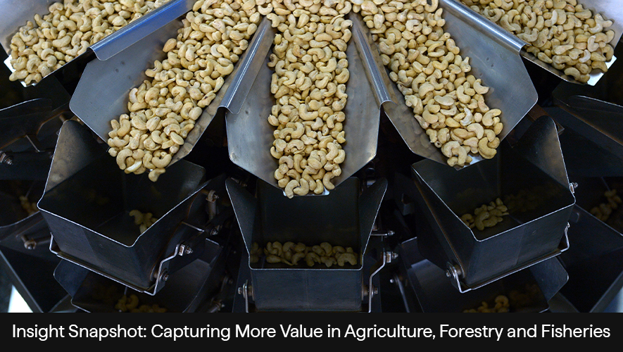 A photo of a nut processing facility.